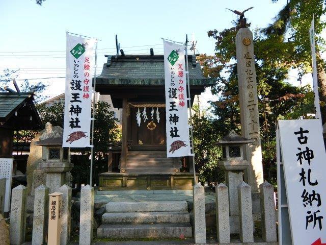 CIMG0236.jpg