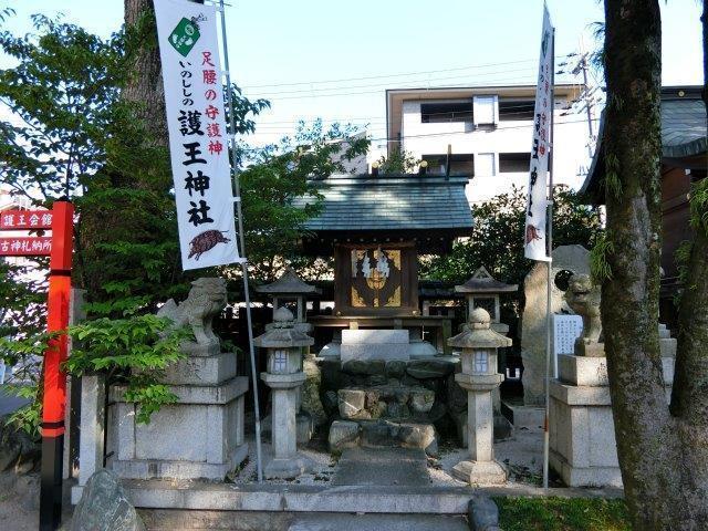 CIMG0237.jpg