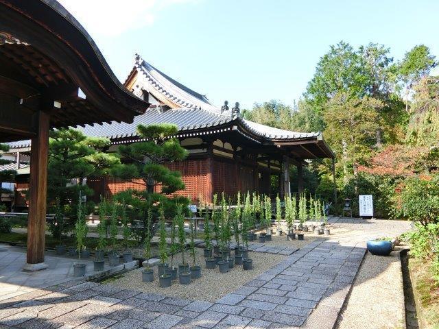 CIMG0856.jpg