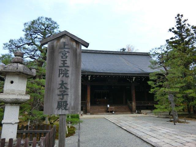 CIMG2672.jpg