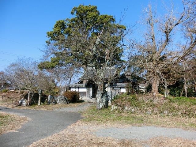 CIMG6396.jpg