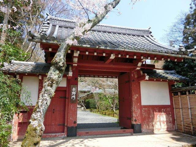 徳力富吉郎 鷹ヶ峯常照寺吉野門 www.krzysztofbialy.com