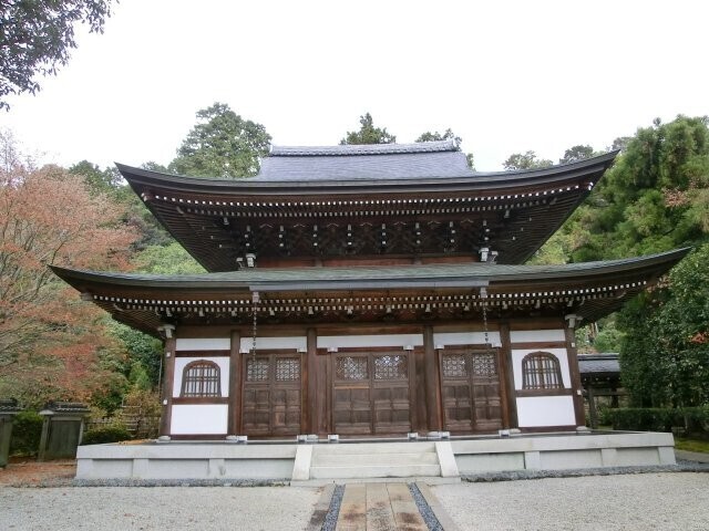 CIMG9082.jpg
