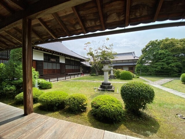 IMG_0869.jpg