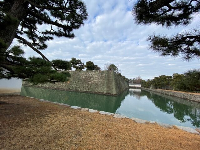 IMG_2417.jpg