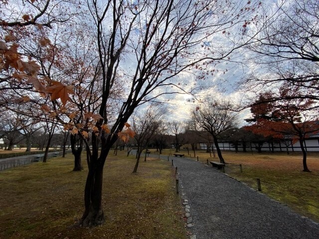 IMG_2438.jpg