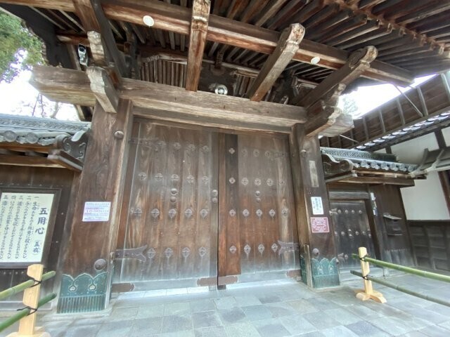 IMG_2745.jpg