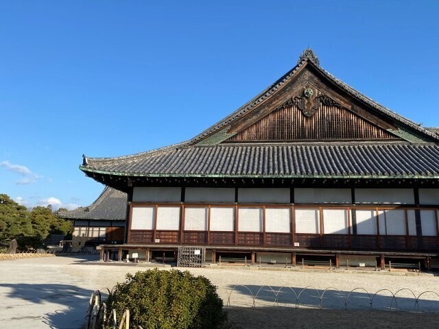 IMG_2872.jpg