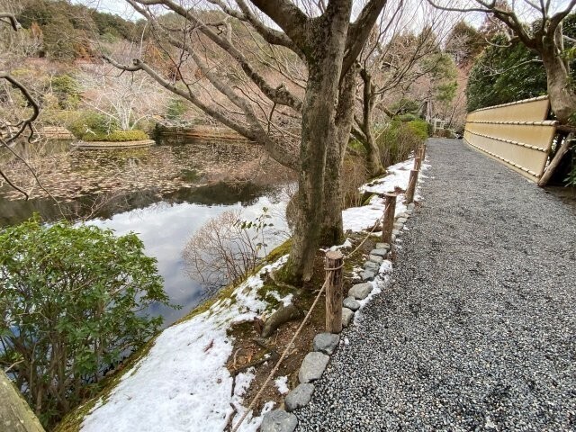 IMG_3745.jpg