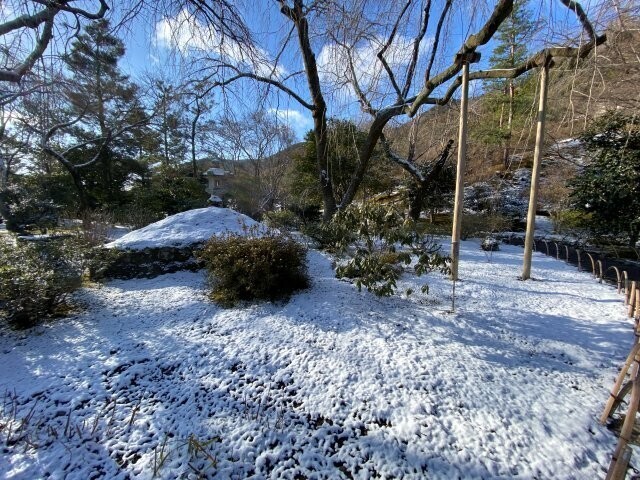 IMG_4230.jpg