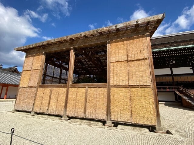 IMG_4586.jpg
