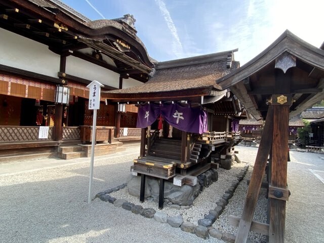 IMG_5825.jpg