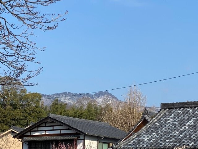 IMG_6093.jpg