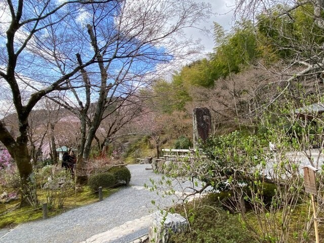 IMG_6929.jpg