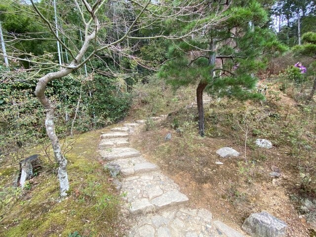 IMG_7030.jpg