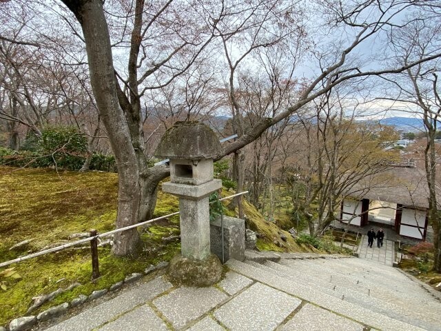 IMG_7063.jpg