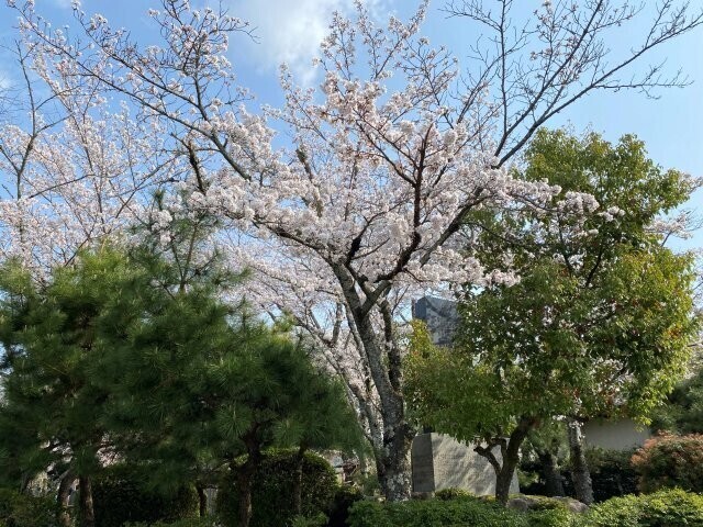 IMG_7443.jpg