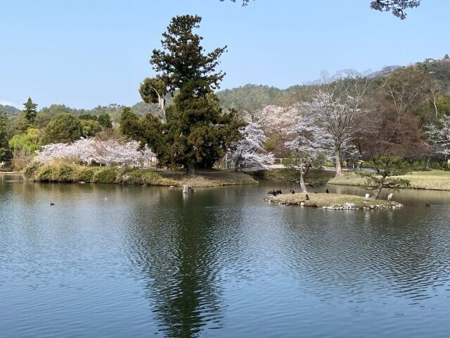 IMG_7489.jpg
