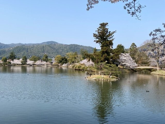 IMG_7492.jpg