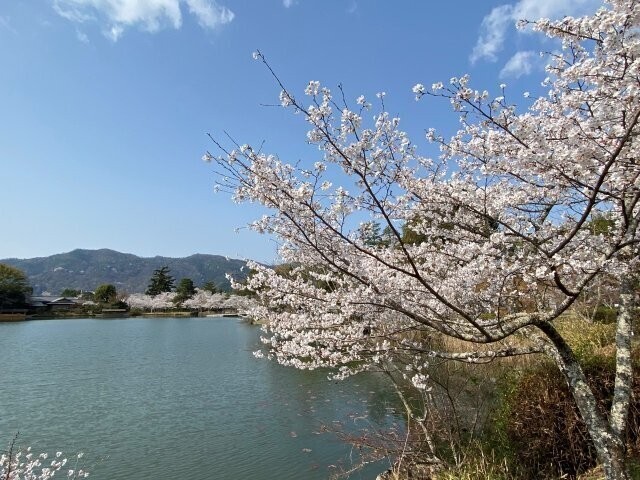 IMG_7537.jpg