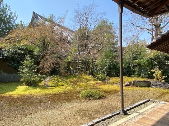 IMG_7750.jpg