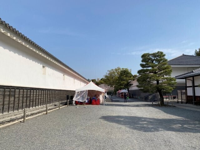 IMG_7784.jpg