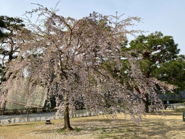 IMG_7838.jpg