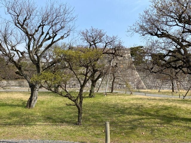 IMG_7897.jpg