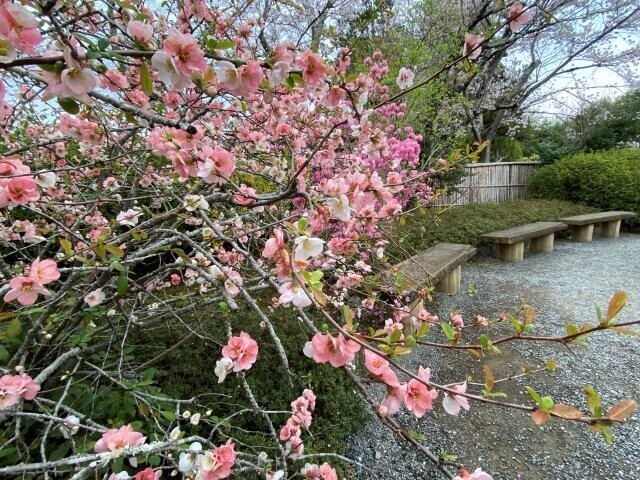 IMG_8375.jpg