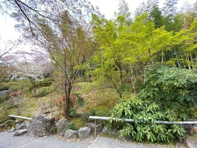 IMG_8399.jpg
