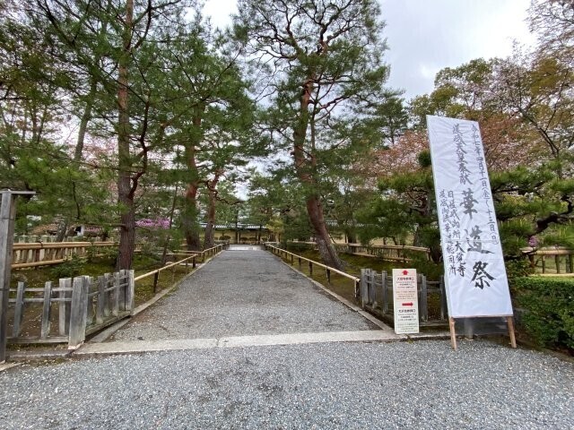 IMG_8464.jpg