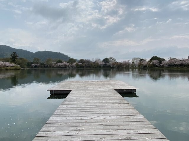 IMG_8587.jpg