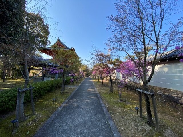 IMG_8772.jpg