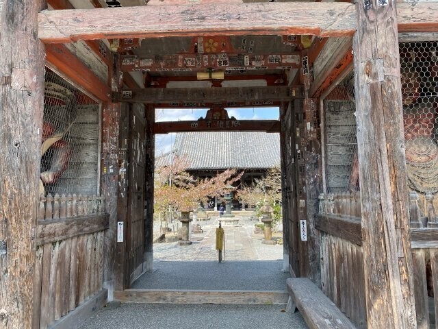 IMG_8863.jpg