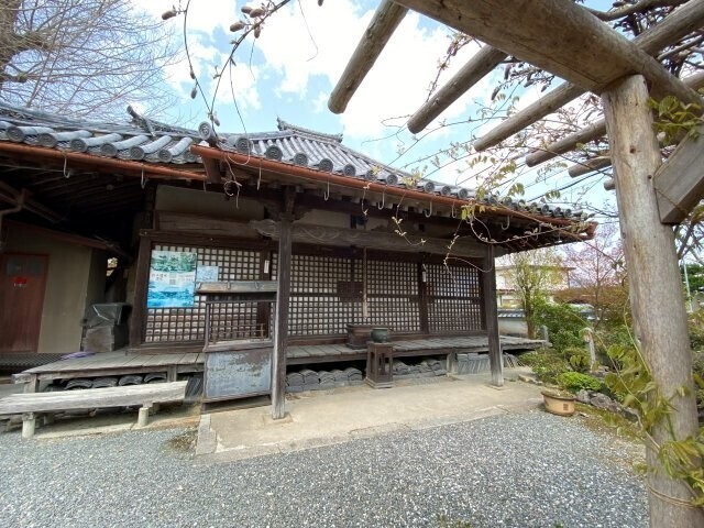 IMG_8878.jpg