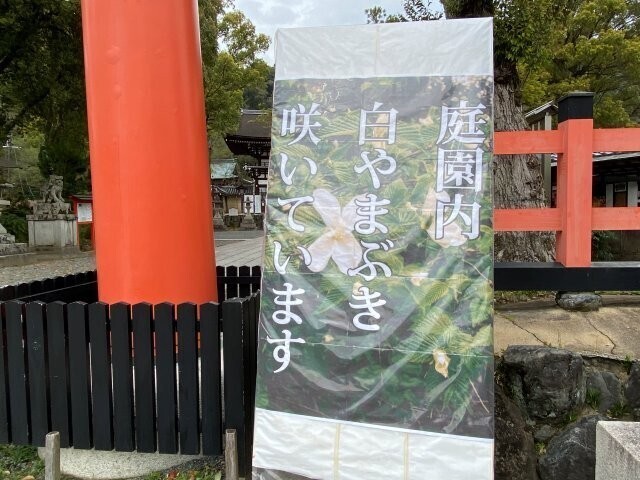 IMG_9174.jpg