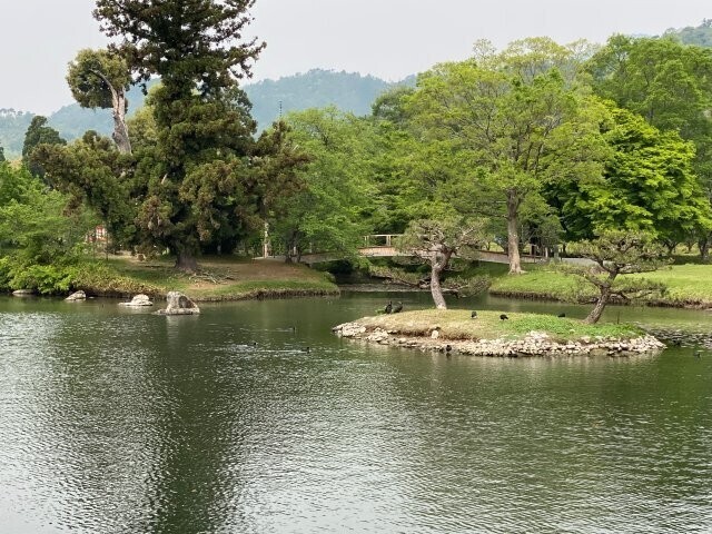 IMG_9590.jpg
