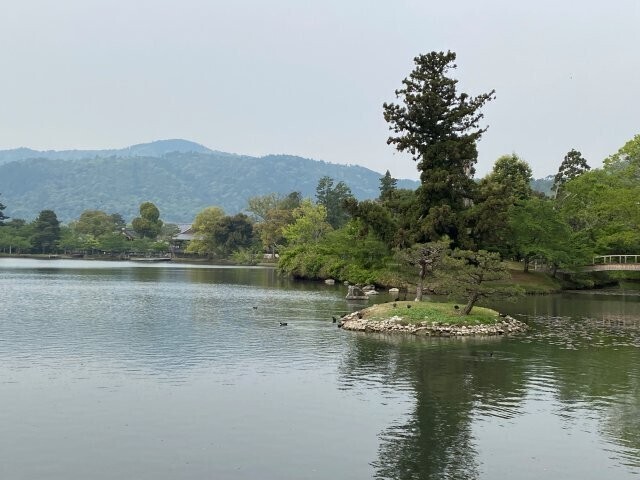IMG_9591.jpg
