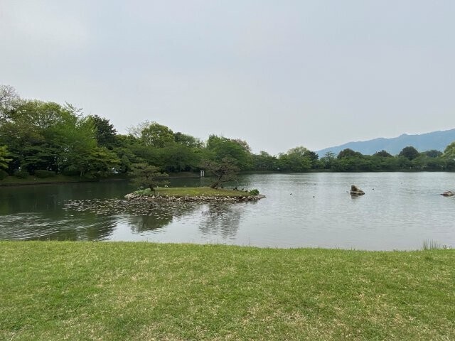 IMG_9603.jpg