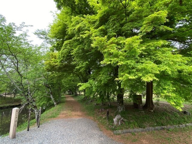 IMG_9607.jpg