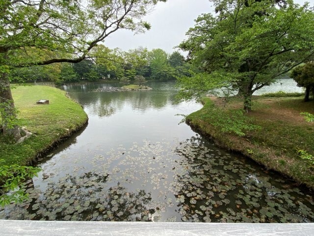 IMG_9609.jpg
