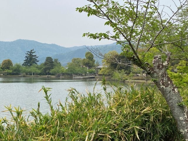 IMG_9614.jpg