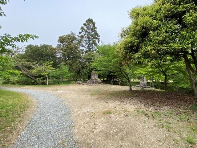IMG_9618.jpg